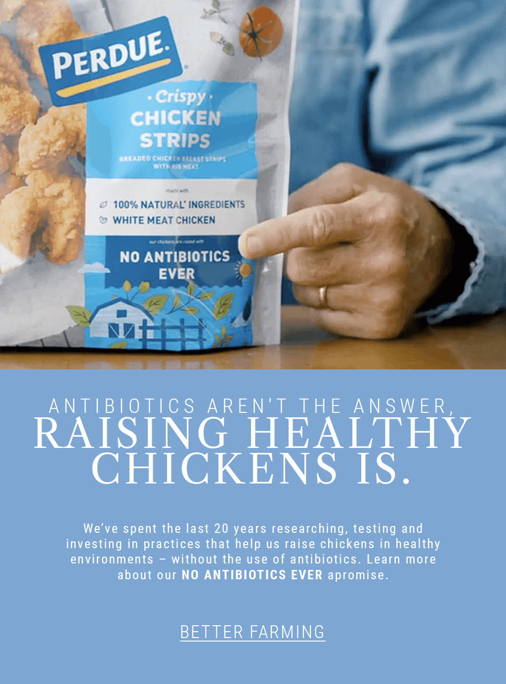 chicken antibiotics