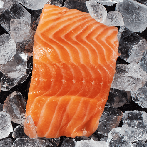 Norwegian Salmon Fillets