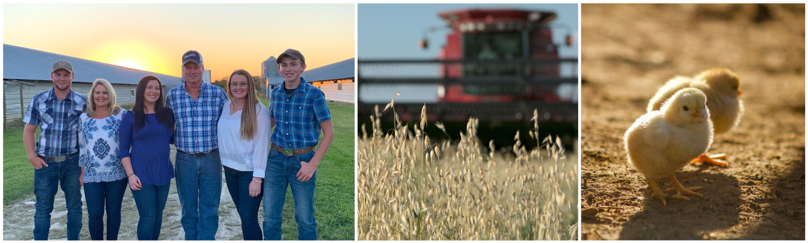 Phil and Tammy Murphy Farm