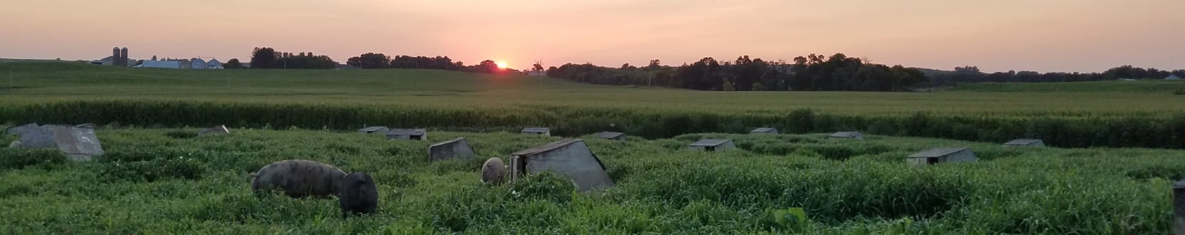 Perdue Farms sustainability