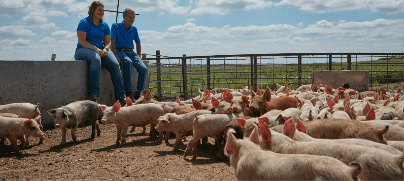 how to become a Perdue Farms farmer or rancher