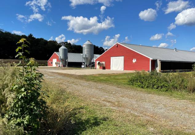 green farming