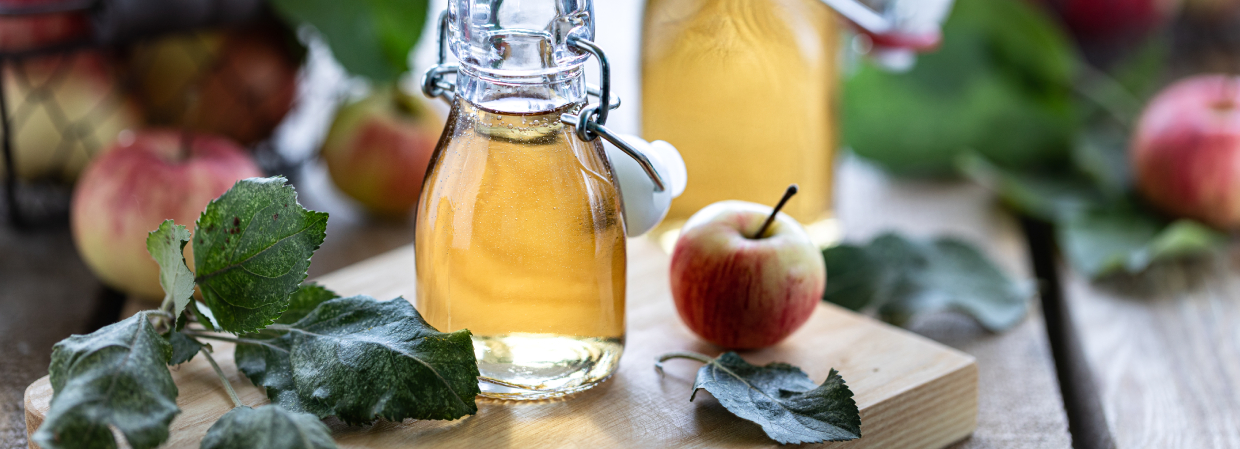 apple cider turkey brine recipe