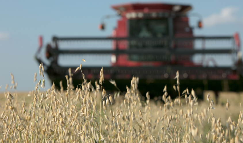 Perdue grain farmer tractor in field