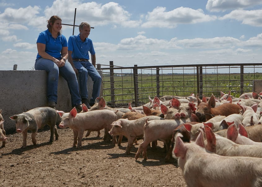 how to become a Coleman Natural hog farmer