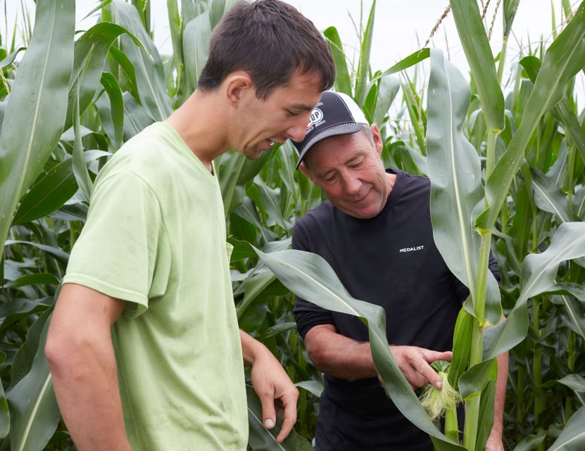 Perdue grain farmer in field