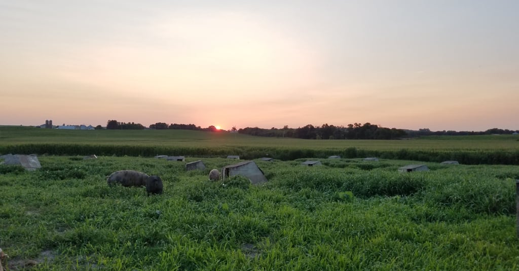 Perdue Farms Animal Care, Traditional Farming and Flavor