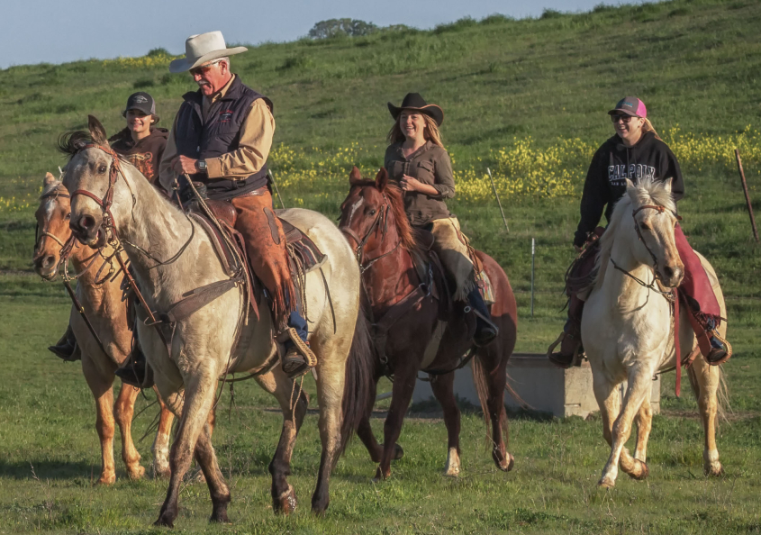 how to become a Panorama Organic cattle rancher